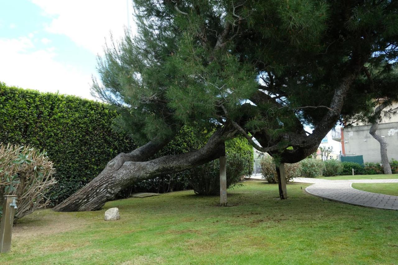 Invento Bnb Unconventional Maison Civitanova Marche Dış mekan fotoğraf
